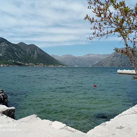 Apartman Milena 1 Kotor Buitenkant foto