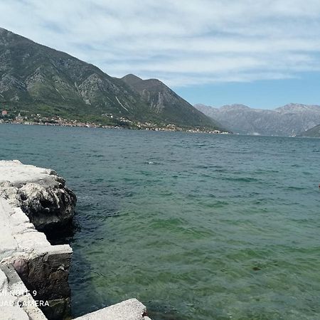 Apartman Milena 1 Kotor Buitenkant foto