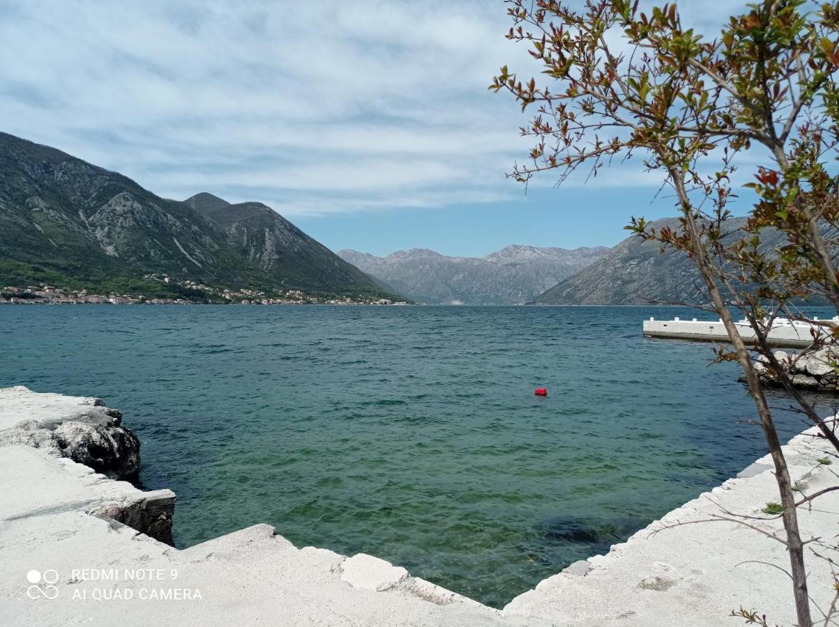 Apartman Milena 1 Kotor Buitenkant foto